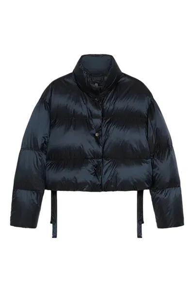 Max Mara Tredi Waterproof Nylon Down Short Jacket In Dark Blue