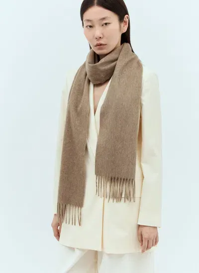 Max Mara Logo Embroidery Cashmere Scarf In Brown