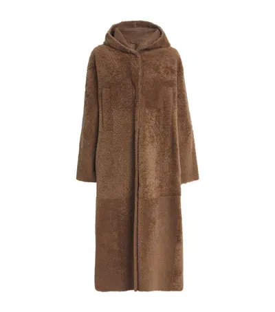 Max Mara Shearling Hooded Coat In Brown