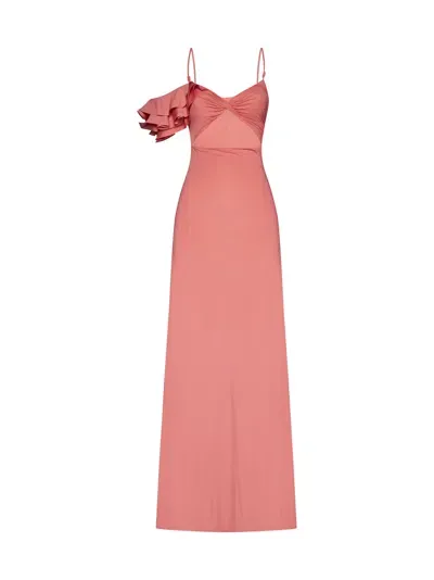 Maygel Coronel Dress In Tropical Pink