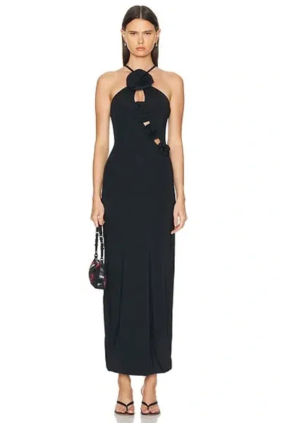 Maygel Coronel Liri Cutout Halter Maxi Dress In Black