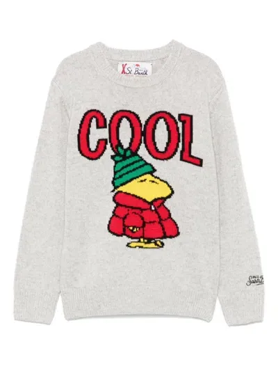 Mc2 Saint Barth Kids' X Peanuts Douglas Sweater In Grey