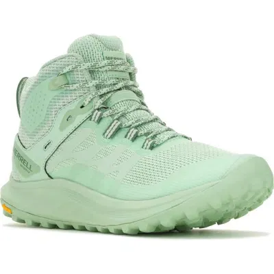 Merrell Antora 3 Mid Trail Running Sneaker In Mentha