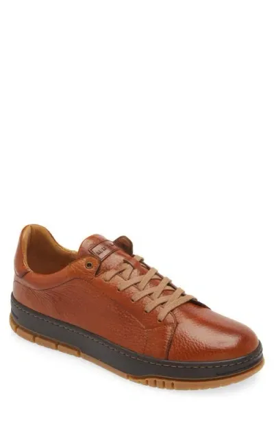 Mezlan Grazia Sneaker In Dark Cognac