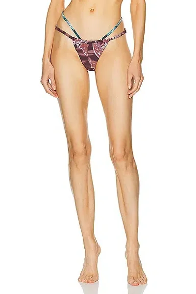 Miaou Amada Swimsuit Bottom In Medan Paisley Burgundy