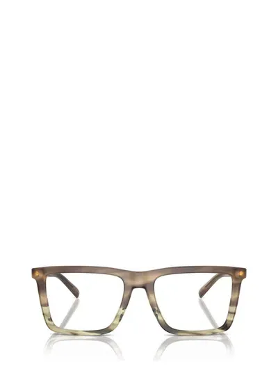 Michael Kors Eyeglasses In Olive Block Tortoise