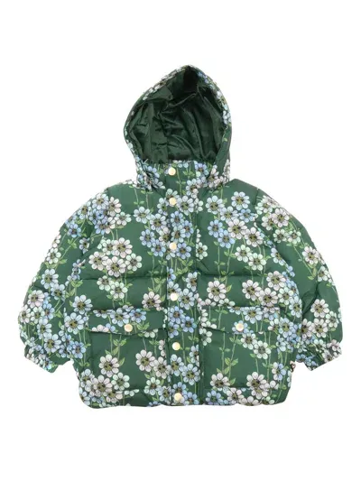 Mini Rodini Daisys Aop Heavy Hooded Puffer Jacket In Green