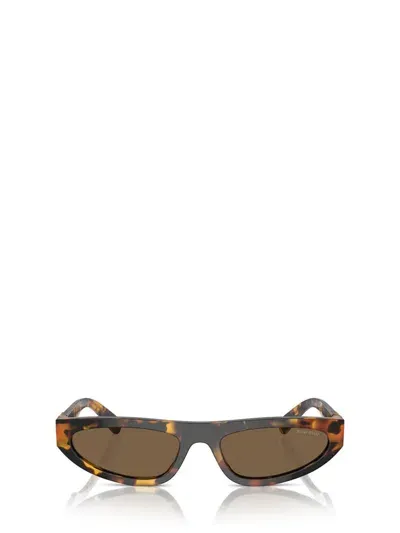 Miu Miu Eyewear Sunglasses In Honey Havana