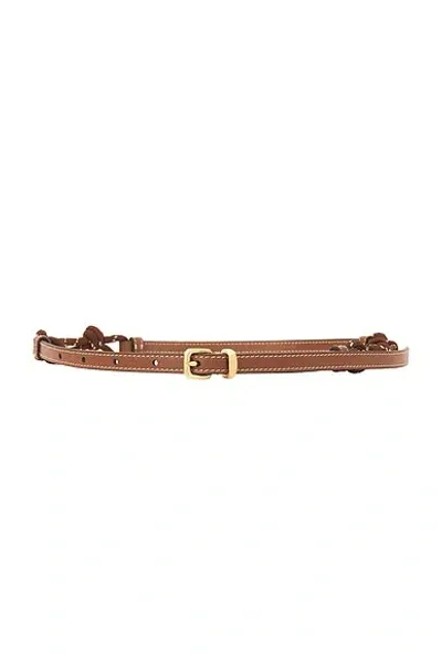 Miu Miu Soft Calf & Nastro Belt In Cognac & Tobacco