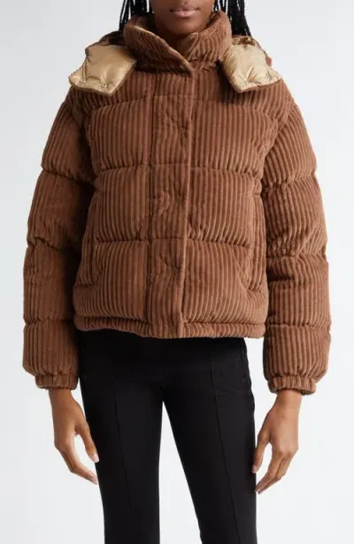 Moncler Daos Chenille Tech Down Jacket In Brown