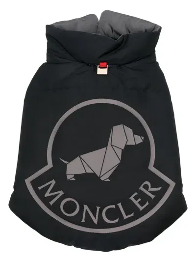 Moncler Genius Padded Dog Vest In Blue