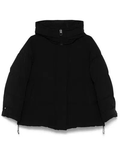 Montecore Hooded Puffer Jacket In Black  