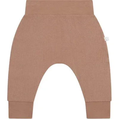 Mori Babies'  Appliqué Bear Joggers In Bear And Brown