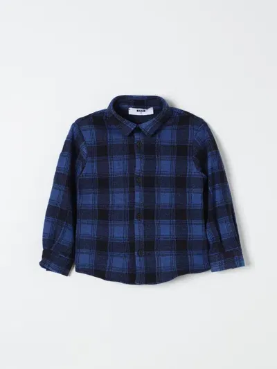 Msgm Shirt  Kids Kids Color Blue In Blau