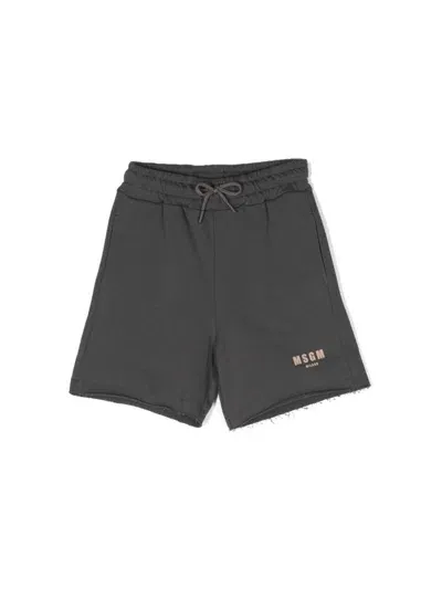 Msgm Shorts  Kids Kids Color Grey