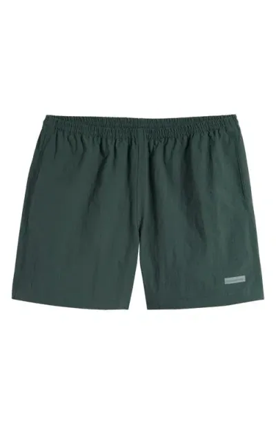 Museum Of Peace And Quiet Museum Of Peace & Quiet Logo Shorts In Pine