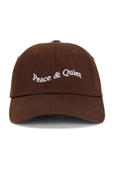 Museum Of Peace And Quiet Wordmark Dad Hat In Brown