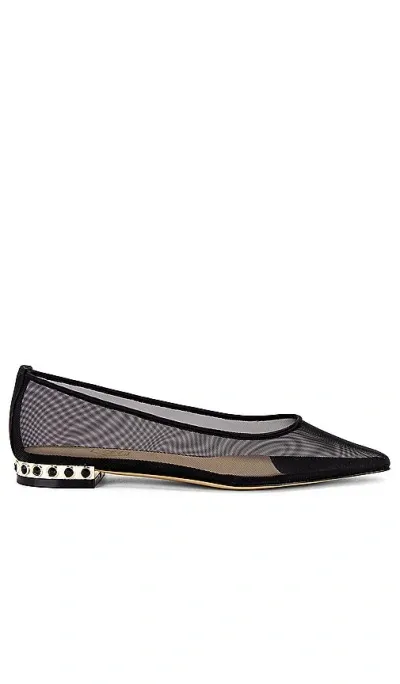 Nalebe Aurum Ballet Flat In 黑色