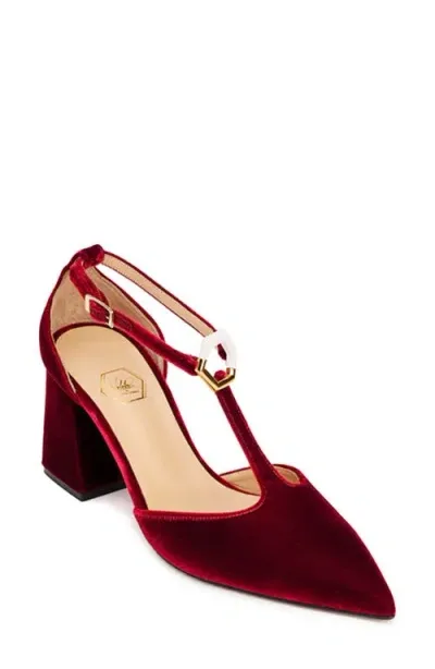 Nalebe Doxa Ankle Strap Pointed Toe Pump In Maroon