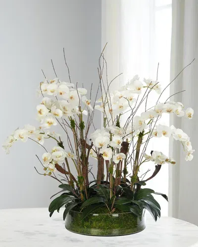 Ndi White Phalaenopsis Orchids 42" Faux Floral Arrangement In A Moss Glass Bowl