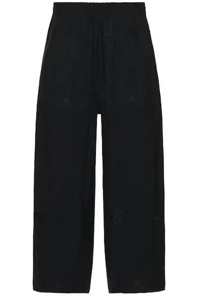 Needles H.d.p. Pant Papillon In Black