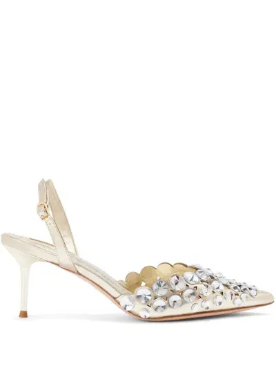 Nicoli Sassari Pumps In Gold