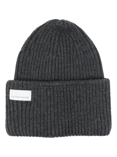 Nine In The Morning Umi Beanie In Grey