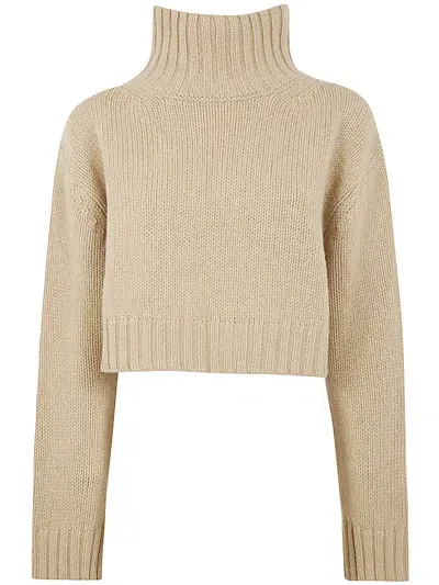 Nuur Long Sleeves Turtle Neck Sweater In Brown