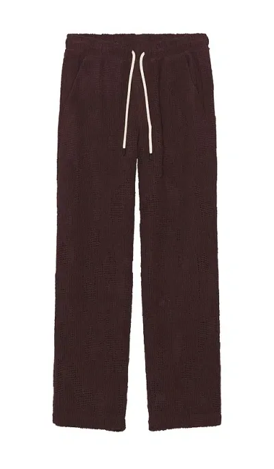 Oas Grot Ayora Crochet Pants In Burgundy