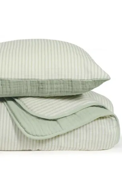 Oilo Kids'  Organic Cotton Muslin Quilt & Sham Set In Seamoss