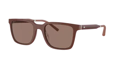 Oliver Peoples Ov5553su Mr. Federer In Sierra