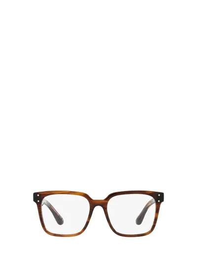 Oliver Peoples Ov5502u Tuscany Tortoise Glasses In 1724