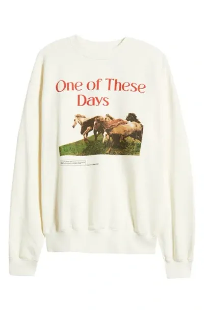 One Of These Days Wild Horses Graphic Sweatshirt In Bone