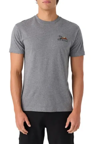 O'neill Dos Hermanos Graphic T-shirt In Heather Grey