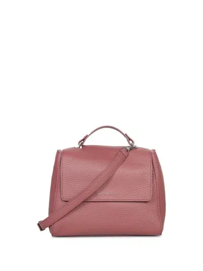 Orciani Bags In Red