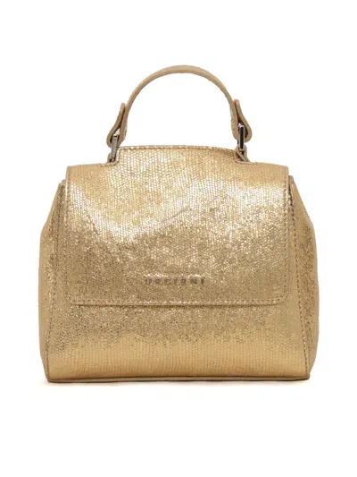 Orciani Handbag In Gold