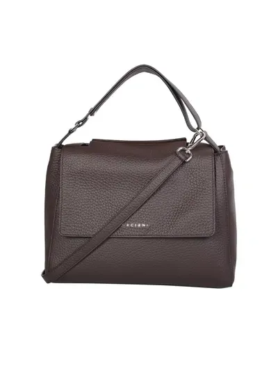 Orciani Bags In Brown