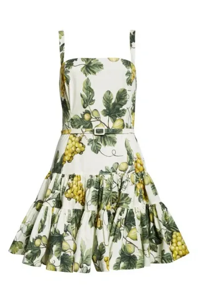 Oscar De La Renta Printed Cotton-poplin Mini Dress In Ecru Green