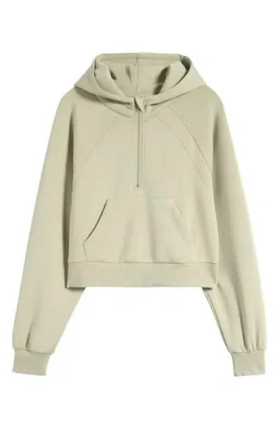 Pacsun 1980 Half Zip Hoodie In Tea