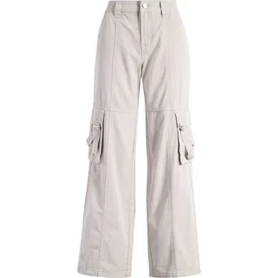 Pacsun Parker Extreme Baggy Cotton Cargo Pants In Paloma