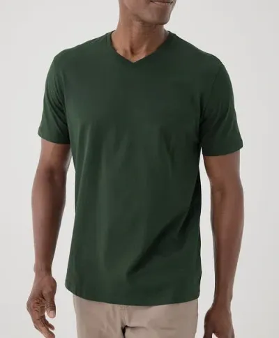 Pact Organic Softspun V-neck Tee In Mountain View