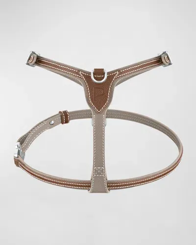 Pagerie Petite Leather Dog Harness In Brown