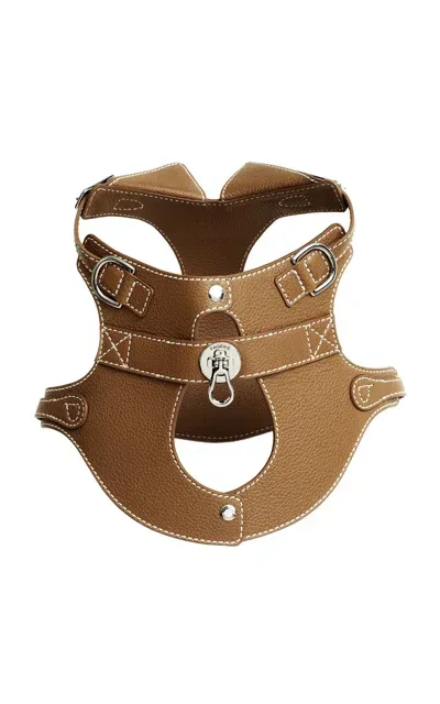 Pagerie The Colombo Harness In Brown