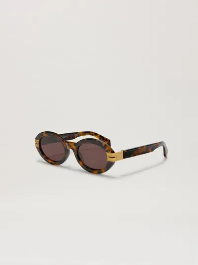 Palm Angels Eyewear Harmony Sunglasses In Brown