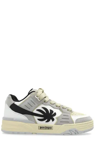 Palm Angels Venice Palm Patch Sneakers In Grey