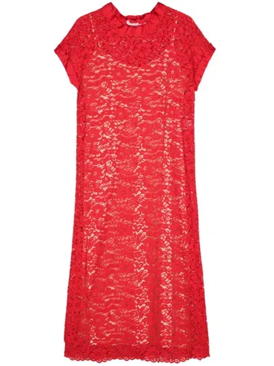 P.a.r.o.s.h Regalo Midi Dress In Red