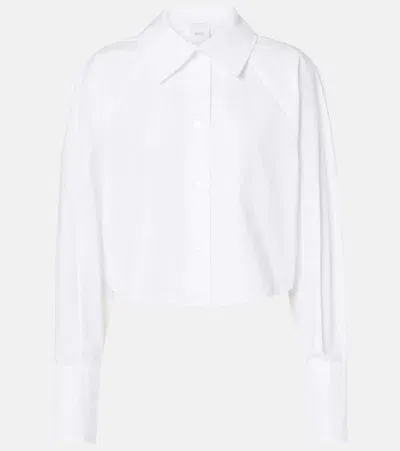 Patou Cotton Poplin Cropped Shirt In White