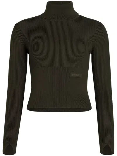 Patou Ribbed Roll-neck Sweater In Green