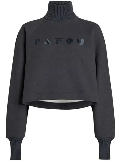 Patou Cropped Roll Neck Sweater In Grey