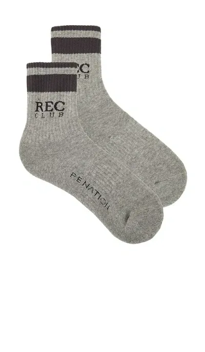 P.e Nation Archive Sock In Gray